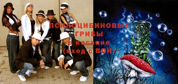 гидропоника Осинники