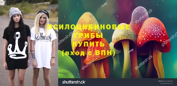 spice Осташков