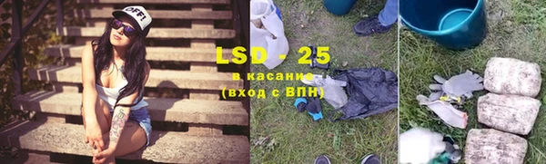 тгк Болотное