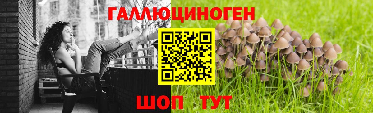Псилоцибиновые грибы GOLDEN TEACHER Кувандык